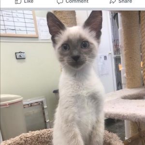 Meet your Posher, Andrea